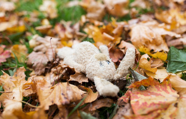 toy rabbit in fallen autumn leaves