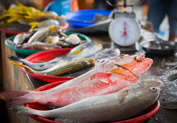 fresh raw fish displayed at a fish market in flores, indonesia