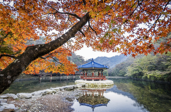 Naejangsan Point of Interest