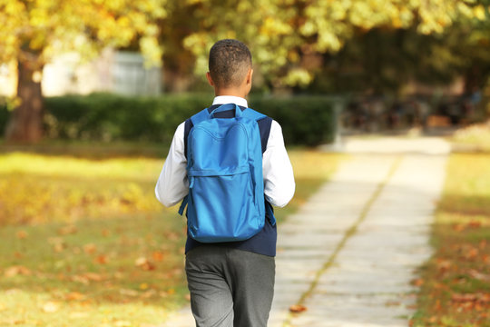 Cute schoolboy walking along pathway in park