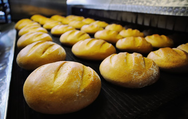 many loaves of bread at the bakery comes out of the oven close up