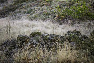 Bemooster Steinhaufen in herbstlicher Landschaft