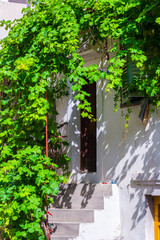 Traditional European Mediterranean architectural style in the streets and residential houses, porches, stairs, shutters in the noon sunbeam, surrounded by vine, hydrangea and palm at summertime. Baska