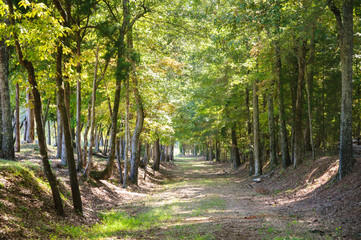 Ninety Six National Historic Site