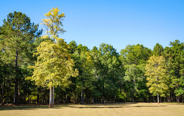 Ninety Six National Historic Site