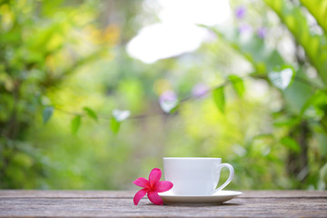 white cup and frangipani flower at outdoor