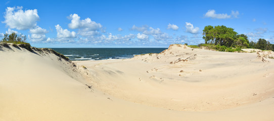 Panorama of the desert on the shores of the Baltic Sea