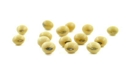 Closeup soy beans on white background.