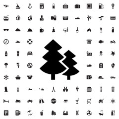 spruce tree icon illustration