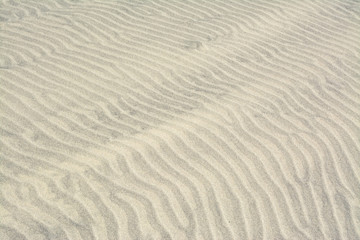 Surface of sand dune in the desert