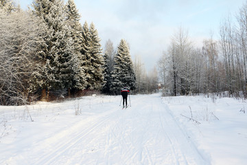 Fototapeta premium Ski track for skiers in the forest in a winter day