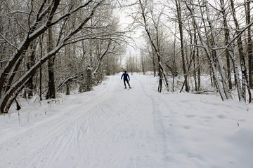 Fototapeta premium Ski track for skiers in the forest in a winter day