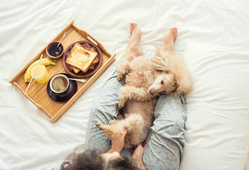 Young woman with her dog  in a bed. Breakfast in bed - french toasts with a cup of coffee.
