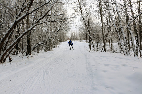 Ski track for skiers in the forest in a winter day