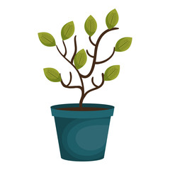 plant garden pot icon vector illustration design