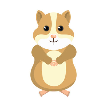 cute hamster mascot icon vector illustration design