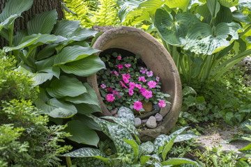 potted flower garden