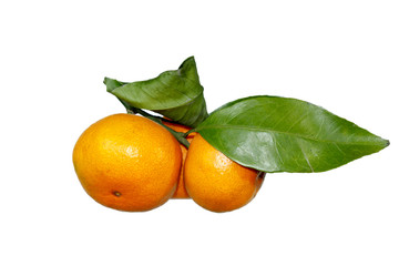 Mandarin with green leaves