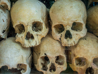 Obraz premium human skeleton