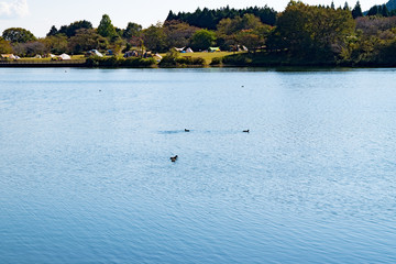 田貫湖と富士山