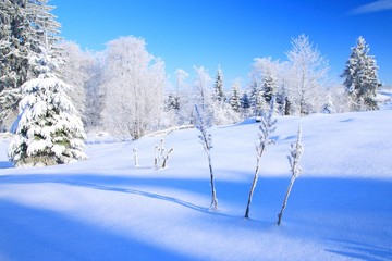 Beautiful winter landscape with nature covered by snow and blue sky in background