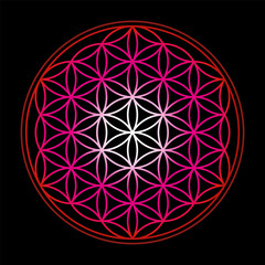 Flower of Life, symbol of harmony - red gradient on black background.