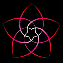 Flower Of Venus Red Black Background © Peter Hermes Furian