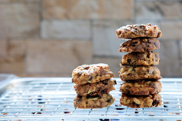Fresh cookies on a tray rack,cookie close-up shot