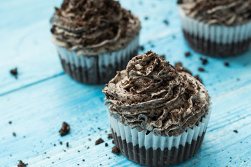 Homemade cupcakes with tender chocolate cream