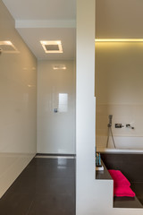 Modern bathroom with steps