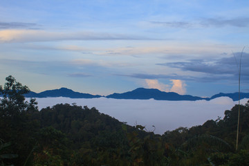 sea of fog with forests as foreground