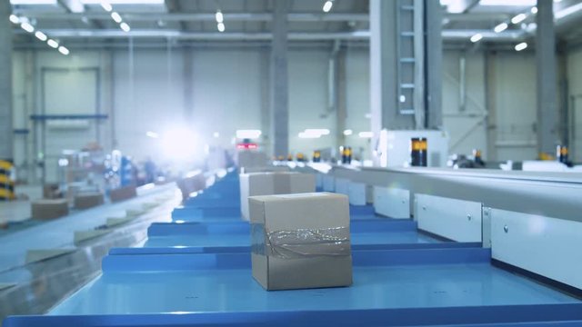 Parcels are Moving on Belt Conveyor at Post Sorting Office. Box POV. Shot on RED Cinema Camera in 4K (UHD)