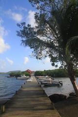 Fisherman boats - Martinique - FWI - Carribean