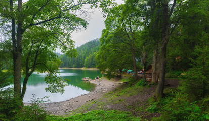 Panoramic view of beautiful lake in mountains. Spruce forest in cloudy weather reflected in turquoise crystal clear water. Lake Synevir in the Carpathians. Ukraine.