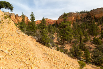 Red Canyon in Utah