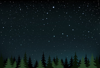 night stars and wood