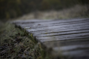 Mit Raureif überzogener Weg aus Holzplanken im Ober-Olmer Wald bei Mainz