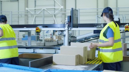 Postal Sorting Office Workers Put Cardboard Boxes on Belt Conveyor. Shot on RED Cinema Camera in 4K (UHD) - Powered by Adobe