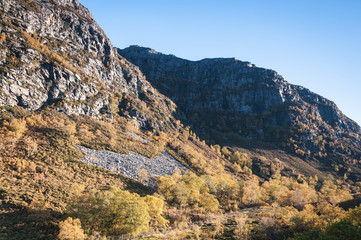 Mountainside and woodland in autumnal sunshine, Ross and Cromarty, Scotland