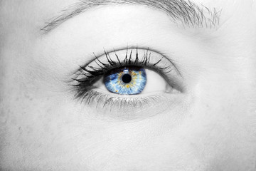 Beautiful insightful look blue woman's eyes