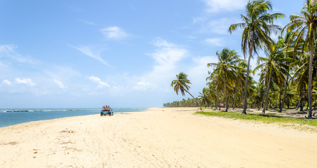 Unblemished beauty of the Gunga  beach , Alagoas state,Brazil .