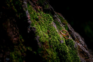 Wedding rings on moss