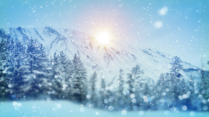 wintry forest christmas scene