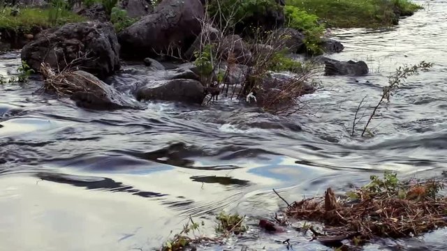 the flow of water in the Lake Teletskoye in the Altai Mountains