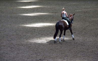 equestrian school saumur loire valley france