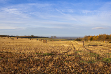 round bales in autumn