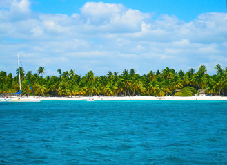 Tropical beach in the Caribbean, sailing, island Saona, Dominican Republic.