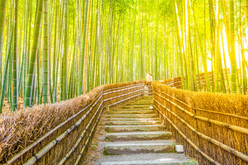 Bamboo Forest at Arashiyama, Kyoto, Japan