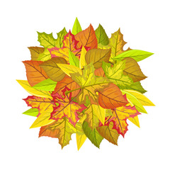 Autumn Leaves Vector Concept in Flat Design  