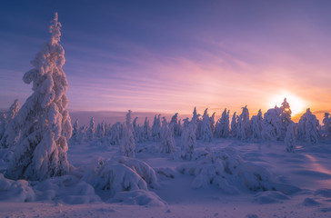 Winter snowscape. Landscape with forest, winter sun and cliffs